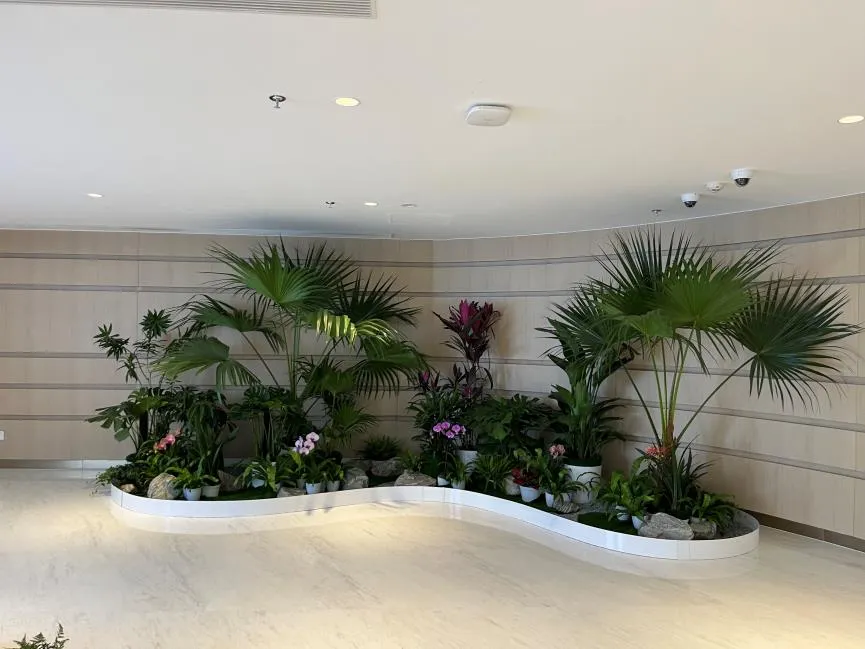 杭州湾花木租摆设计 杭州湾花木租摆设计