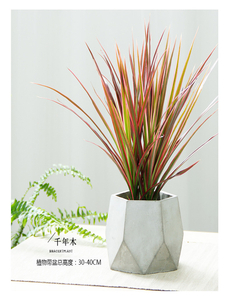 巧妙运用杭州湾绿植租摆设计，营造别样氛围